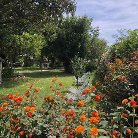 Villa Caterina B&B Прочида Екстер'єр фото