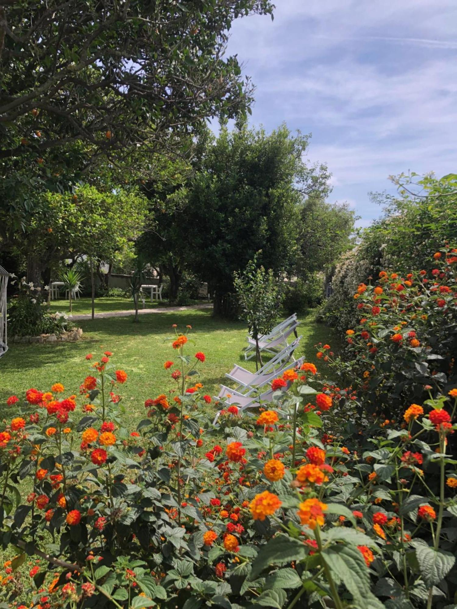 Villa Caterina B&B Прочида Екстер'єр фото
